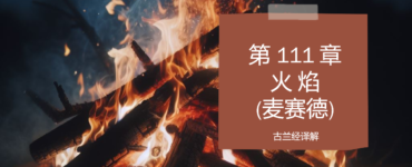 第 111 章 火焰